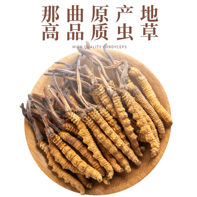 干冬虫夏草30条 正宗虫草干货泡茶煲汤