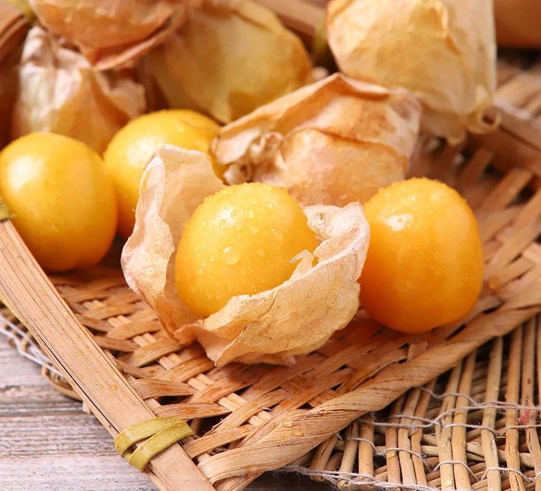 菇娘果果洋姑娘甜菇娘灯笼果新鲜香甜云南姑娘果南方水果