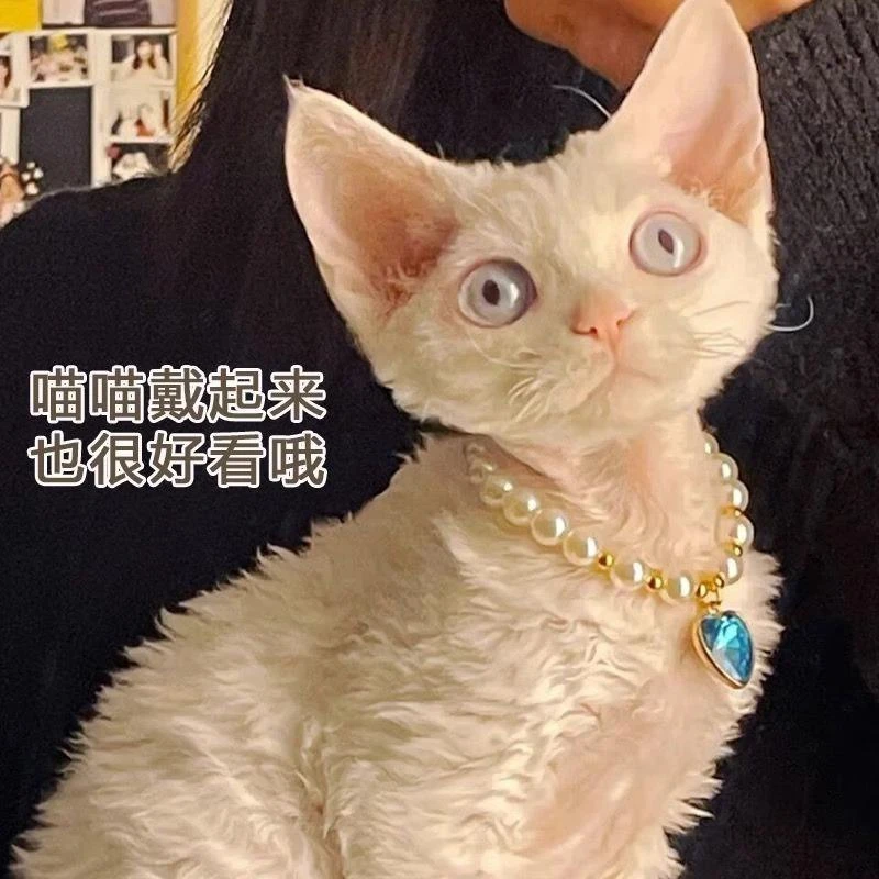 宠物纯珍珠项链公主风脖饰颈链英短泰迪狗狗项圈结婚礼猫咪配饰品