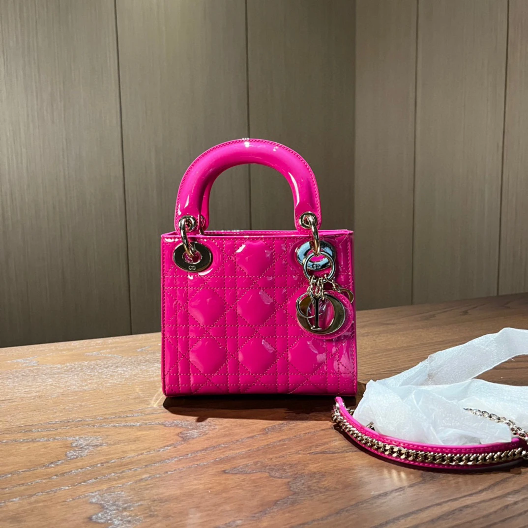 99新 DIOR/迪奥 Dior迪奥 三格戴妃包 尺寸17x14