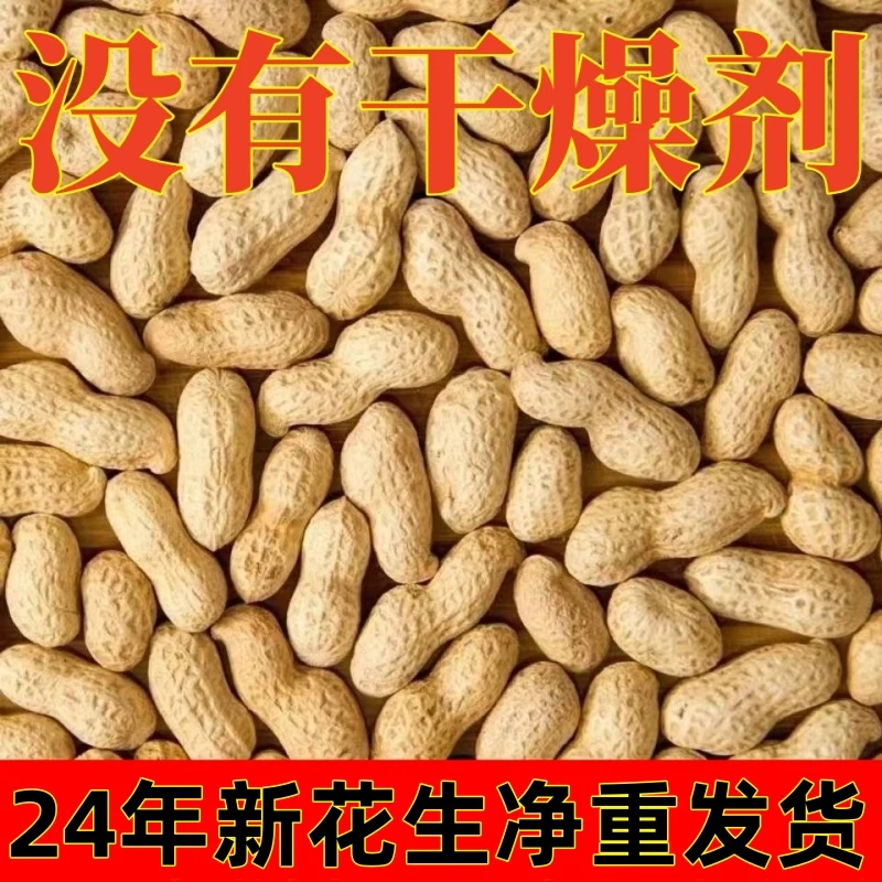 【净重】24年新货正宗铁锅柴火炒花生原味熟花生现钞现卖带壳红皮