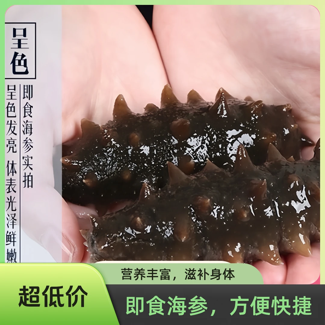 【冷链包邮】高品质正宗大连即食海参个大Q弹
