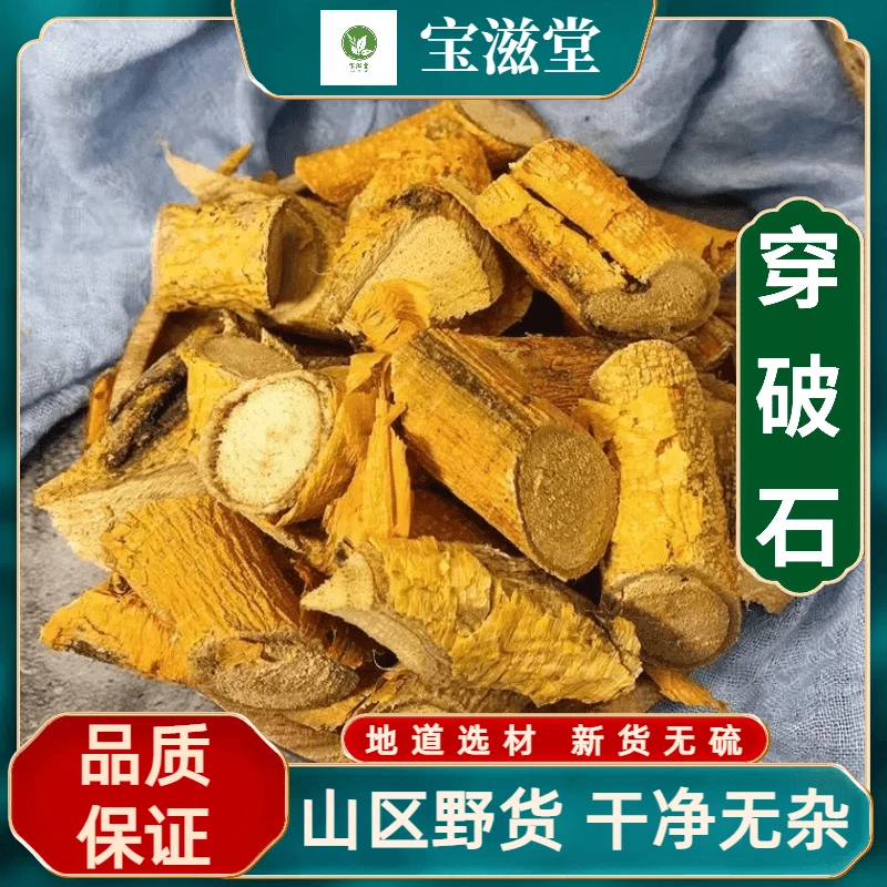 广西自晒精品穿破石干净无硫川破石根部地棉根九层皮石柘根255g