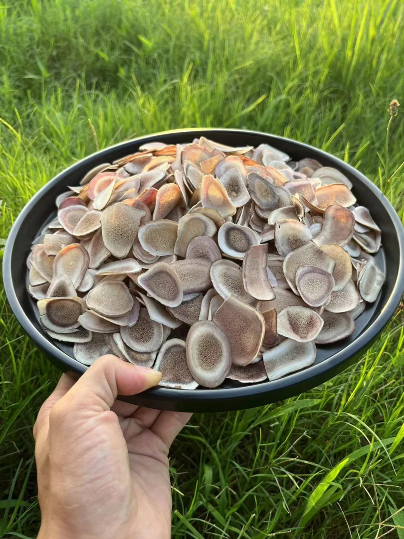 百里找山货现收【璐媶片】传统滋补品食用农产品