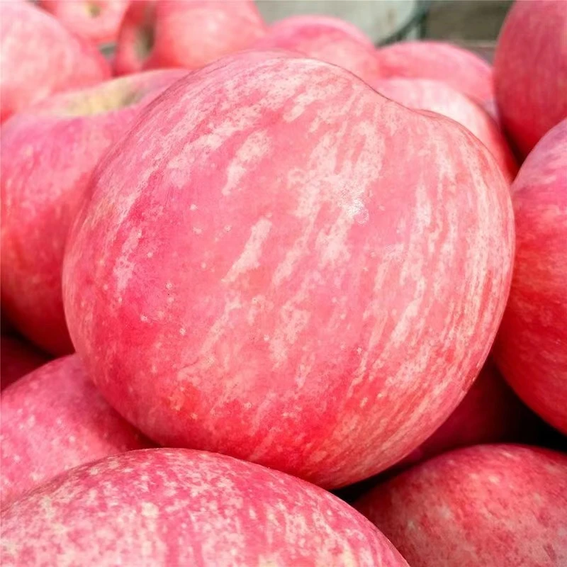 【泉盛隆】陕西白水红富士苹果不打蜡新鲜脆甜多汁产地直发8.5斤装