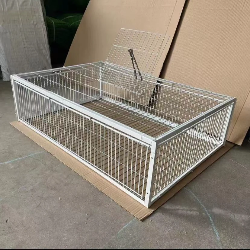 家用养殖鸽子笼抓鸡神器驱鸟神器鸽笼鸽具鸟笼子鸟笼鸟具喂鸡神器