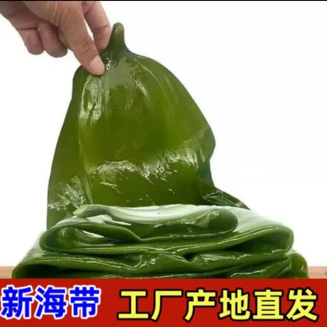 大连特产新鲜盐渍嫩海带营养丰富老少皆宜商品图