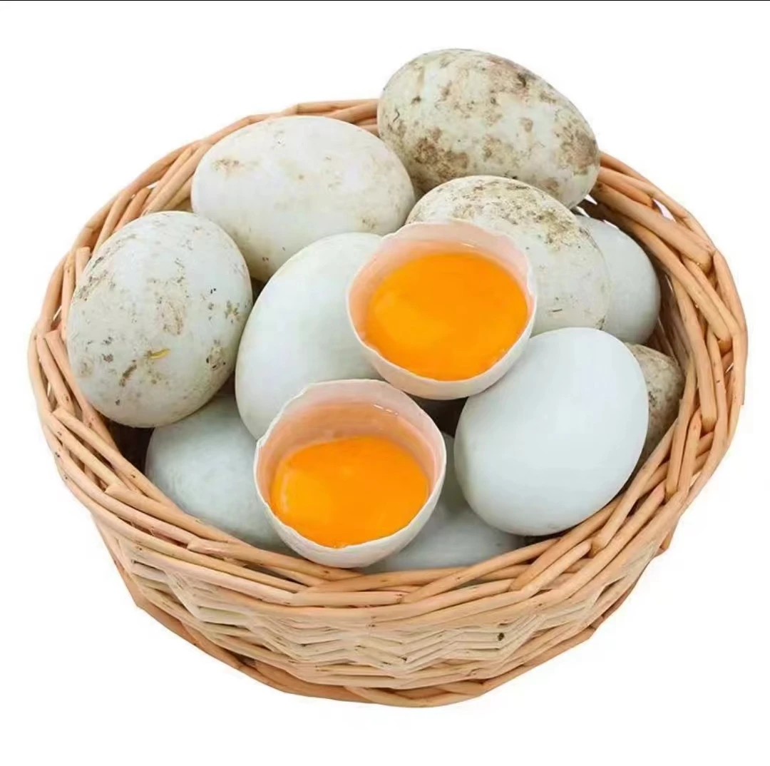 农村散养笨鸭蛋  30/50枚（包邮）