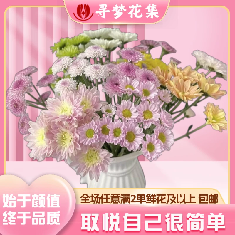 【七彩小菊】缤纷混色小清新 全场1单包邮 2单发顺丰京东冷链空运