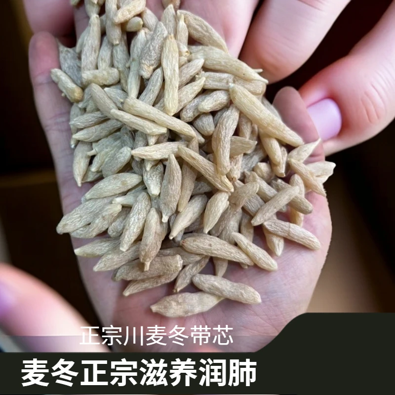 麦冬正宗四川绵阳麦冬精选大颗粒配玉竹枸杞煲汤无熏硫滋养润肺