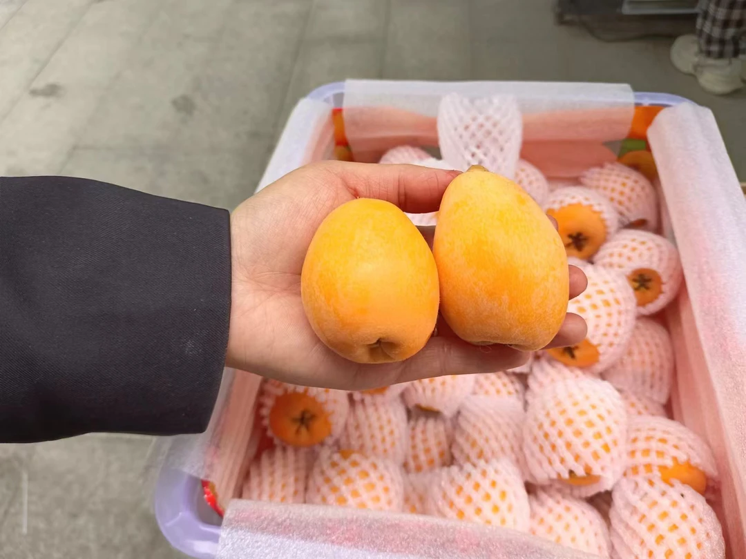 纯甜冰糖枇杷500g