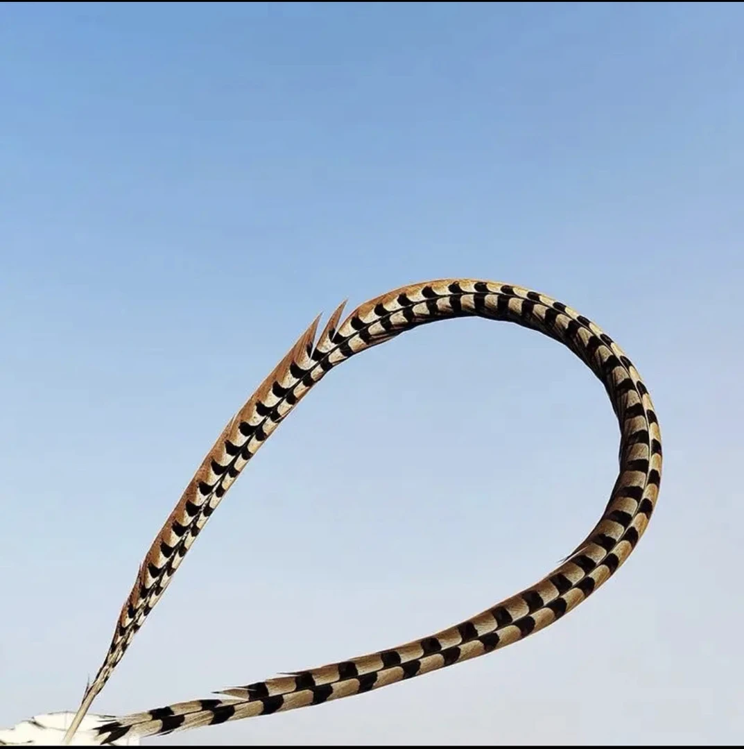 戏曲翎子舞台演出俏花旦头饰羽毛京剧戏剧鸡毛翎子