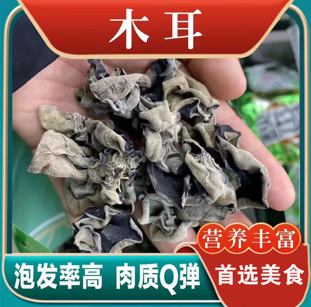 主播推荐东北营养干燥食用秋木耳干净散装500克美味无根原产地