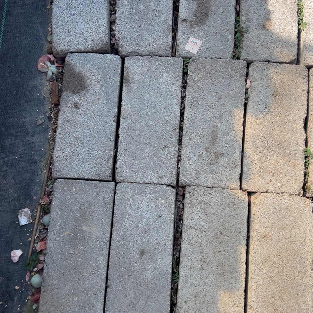 11111111111111111111