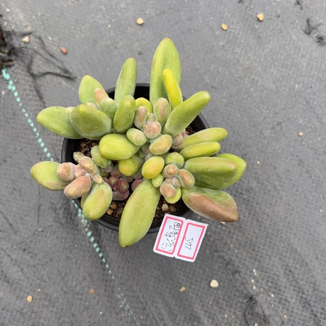 流*雨111111111111111111111