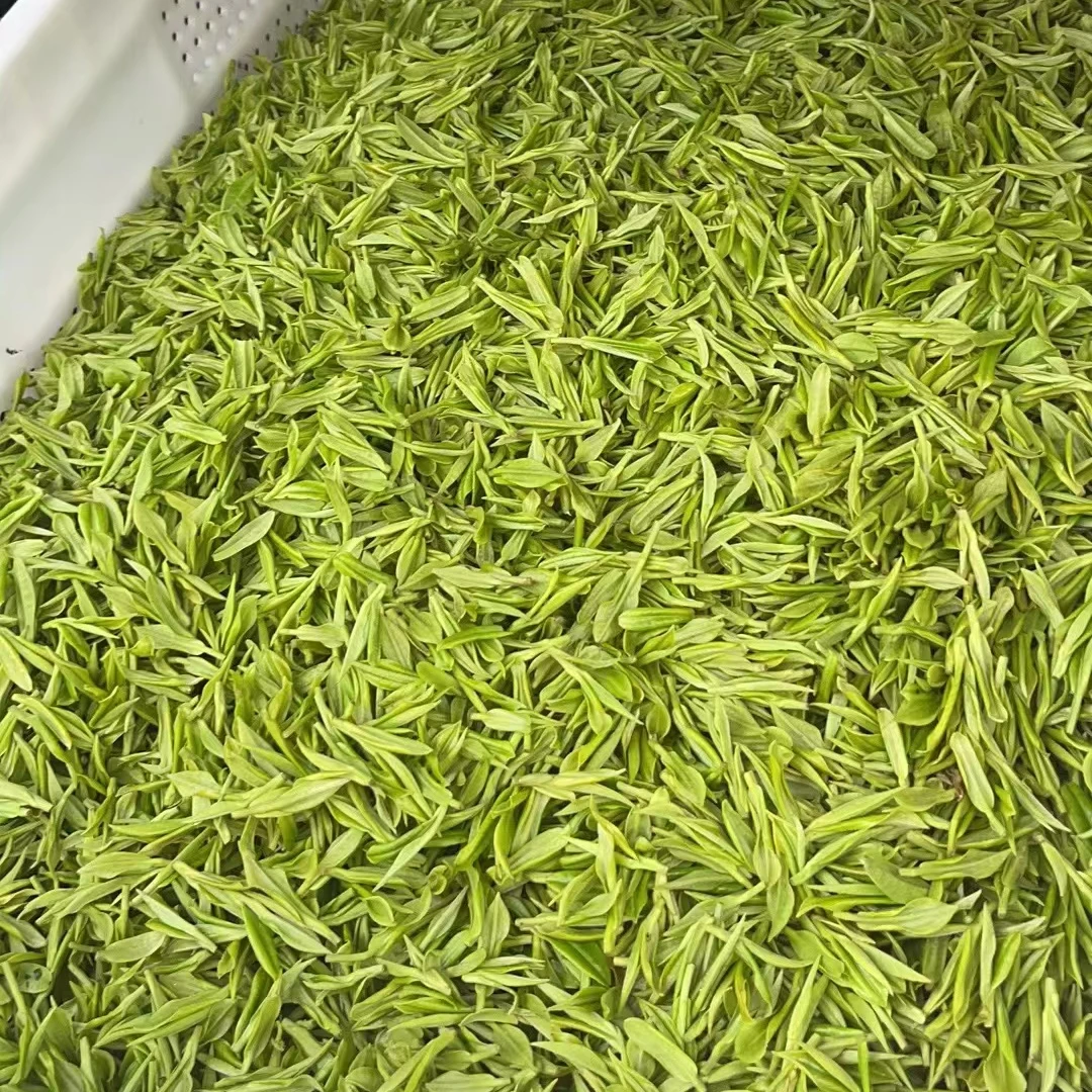 2025新茶安吉白茶昆铜A002【开园头采】兰花香白茶