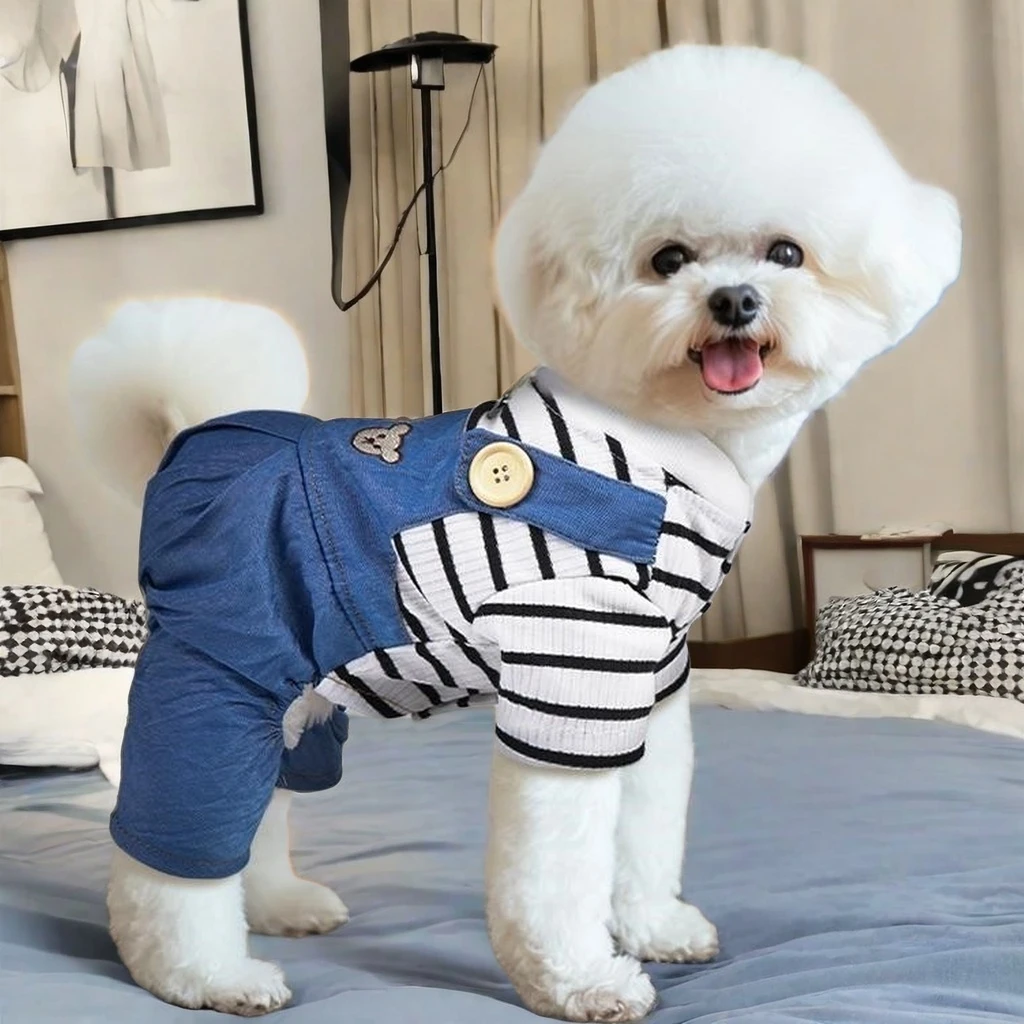 狗狗秋季款衣服可爱泰迪比熊小型幼犬春夏天四脚衣宠物春秋背带裤