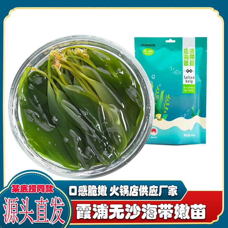 （非干海带）霞浦精选盐渍海带苗半干海带嫩苗500g装新鲜原产地直供