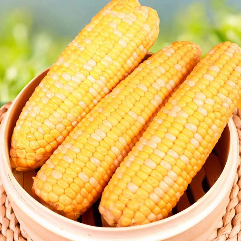 【次日达】即食水果玉米220g*10(非转基因)新鲜水果玉米甘肃省甘肃省临夏回族自治州