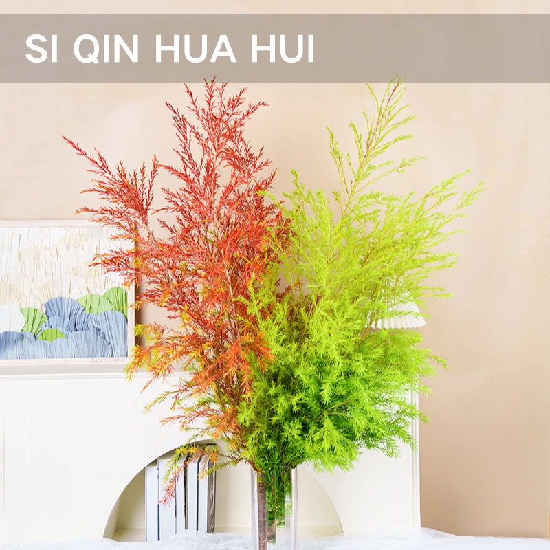 【思芹花卉 | 千层金】文艺风小众花材鲜切花，顺丰冷链包邮，不凑单