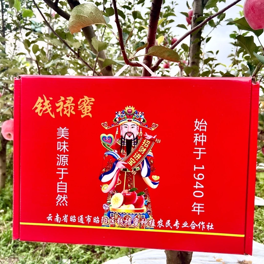 钱禄蜜昭通八零丑苹果