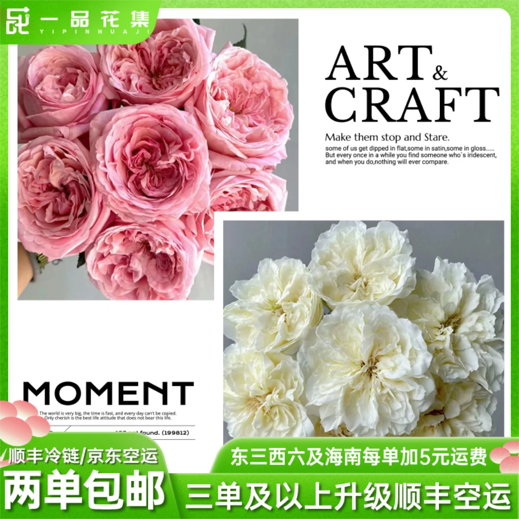 【一品花集】【小白桃】浓香型单头玫瑰组合 全场任意鲜花满两单包邮