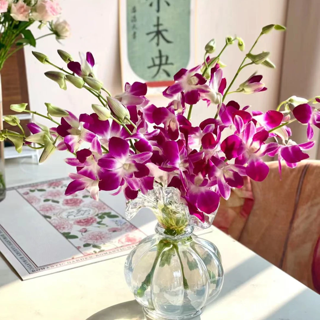 【一品花集】【紫色洋兰】基地鲜切花全场满一单顺丰包邮