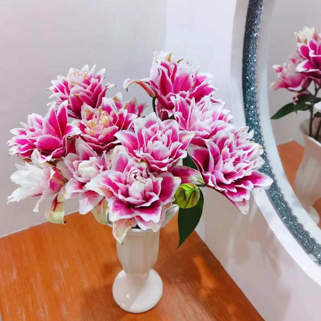 【一品花集】【火星之恋】重瓣百合 云南昆明基地直发家用鲜花