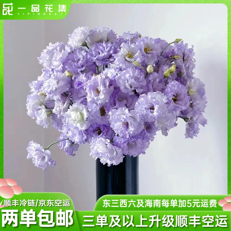 【一品花集】【农民浅紫洋桔梗】鲜切花 全场任意鲜花满两单包邮