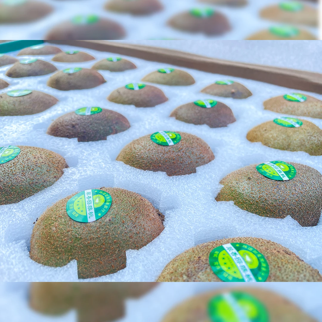 【默然精选】陕西周至翠香猕猴桃 5斤装精品中果礼盒装 全国包邮