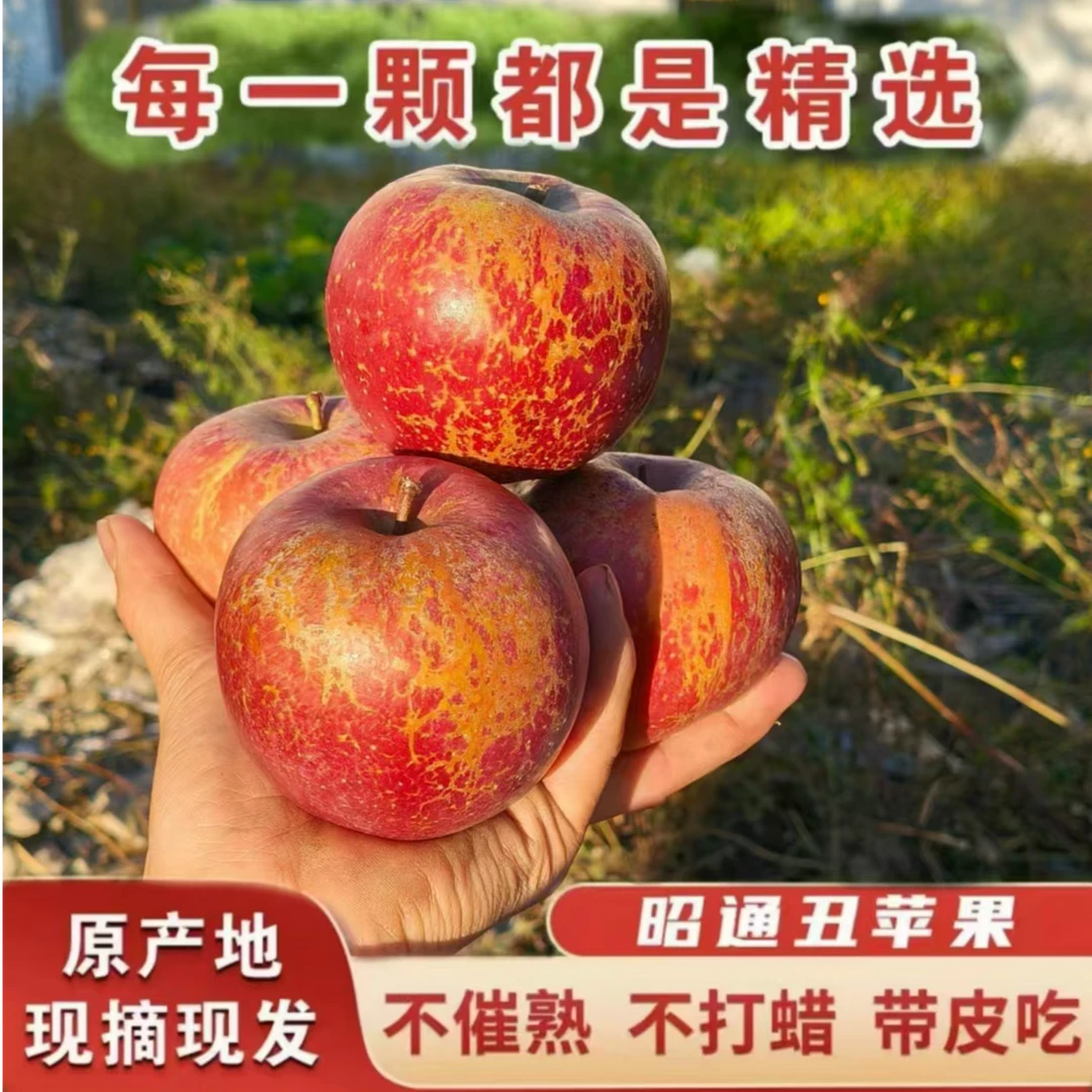 正宗当季云南昭通丑苹果脆甜多汁现摘现发2斤5斤10斤云南苹果