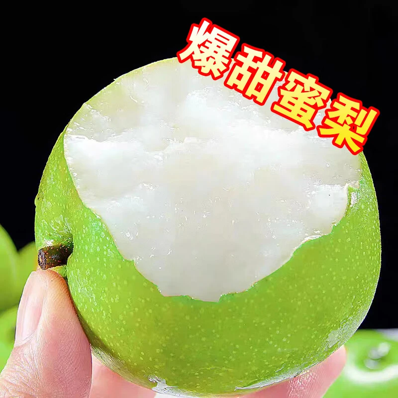 正宗砀山爆甜青玉脆蜜梨青皮梨翠冠梨皇冠梨新鲜应季水果皮薄肉厚