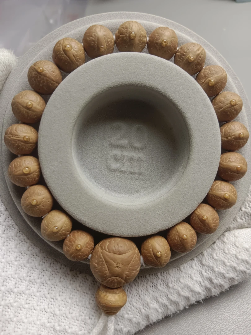 红皮油籽11+凤眼菩提