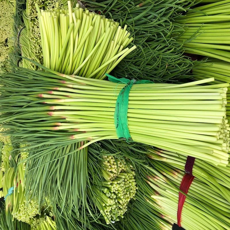 红帽蒜薹现揪现发1500克/2500克