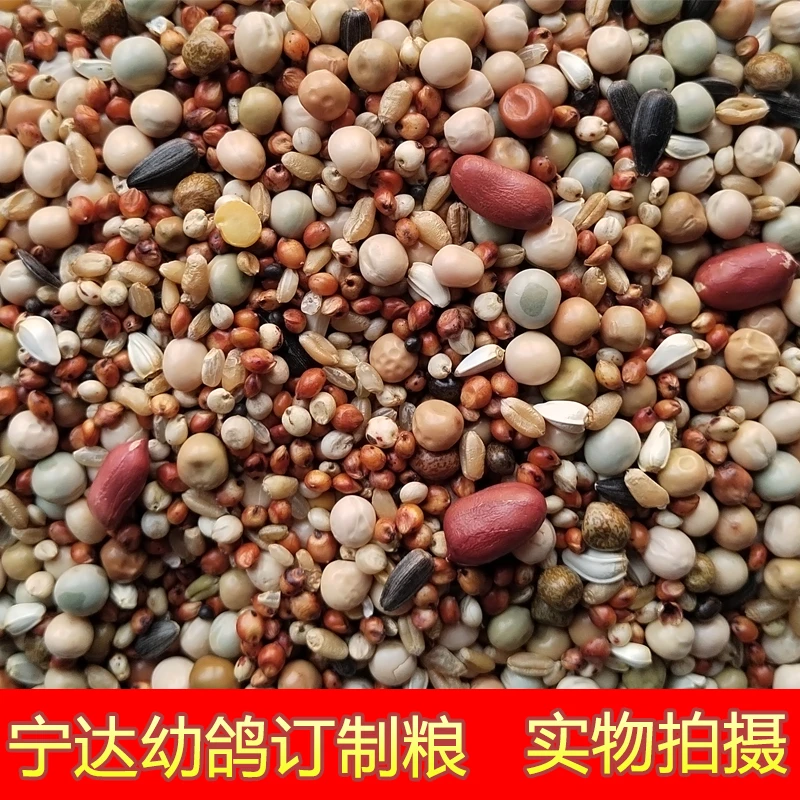 宁达鸽子饲料鸽子粮散装新鲜鸽粮幼鸽粮食元宝鸽观赏鸽粮营养粮