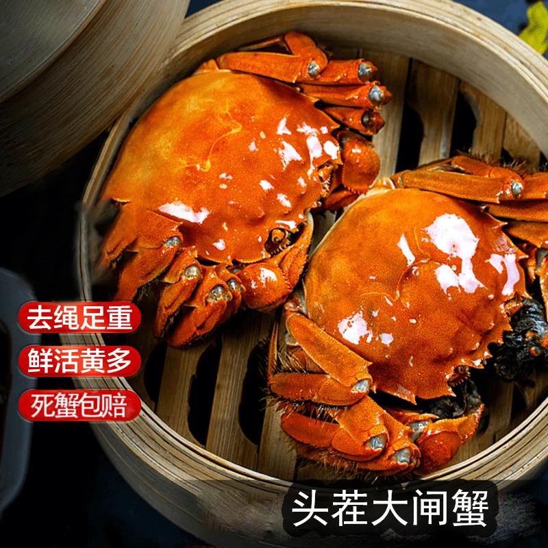 【保鲜保活】4只大闸蟹母蟹2.5两左右/只 直播专享