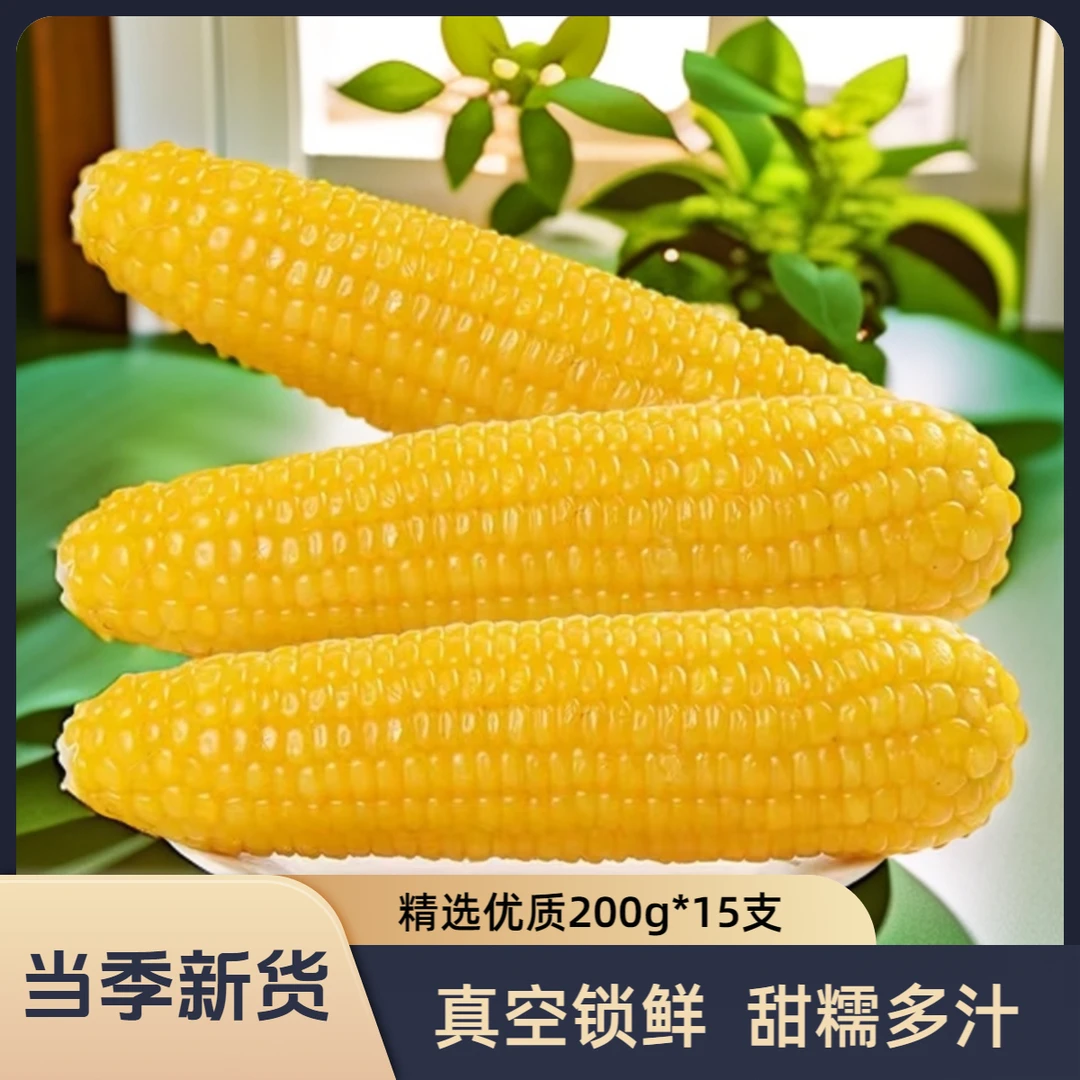 丰收季2024东北黄糯玉米200g*15支真空鲜软糯好吃美味