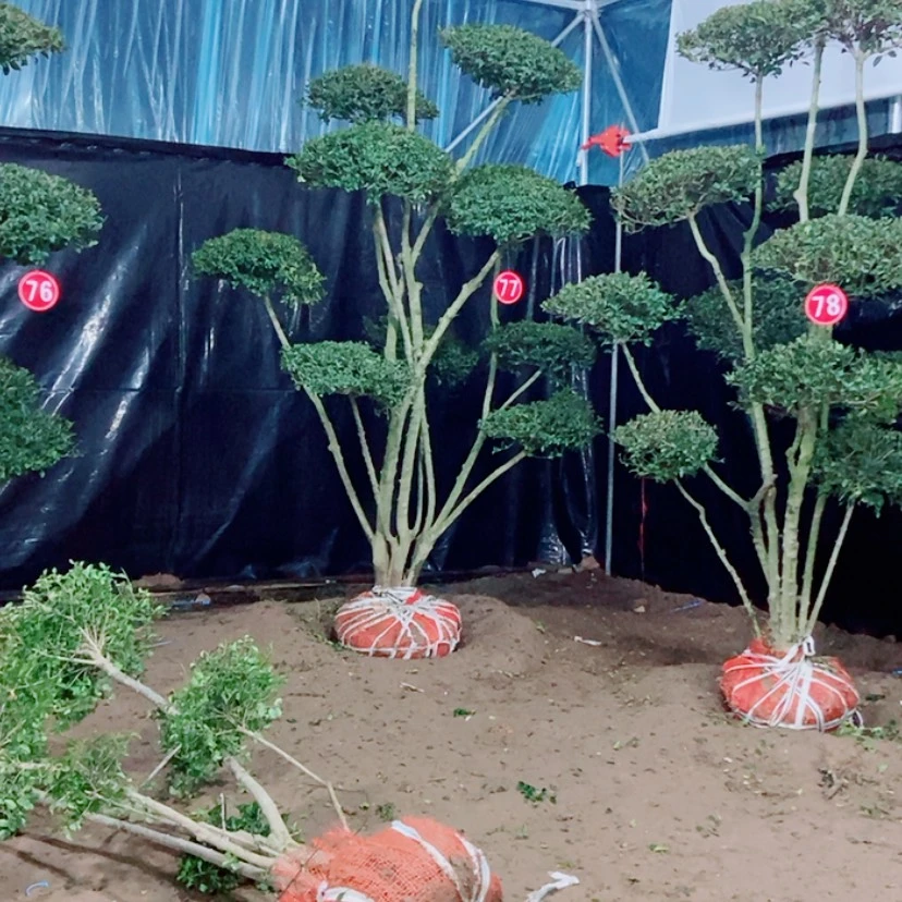 【闪购商品】一物一拍