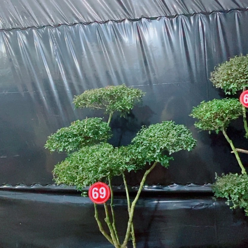 【闪购商品】一物一拍