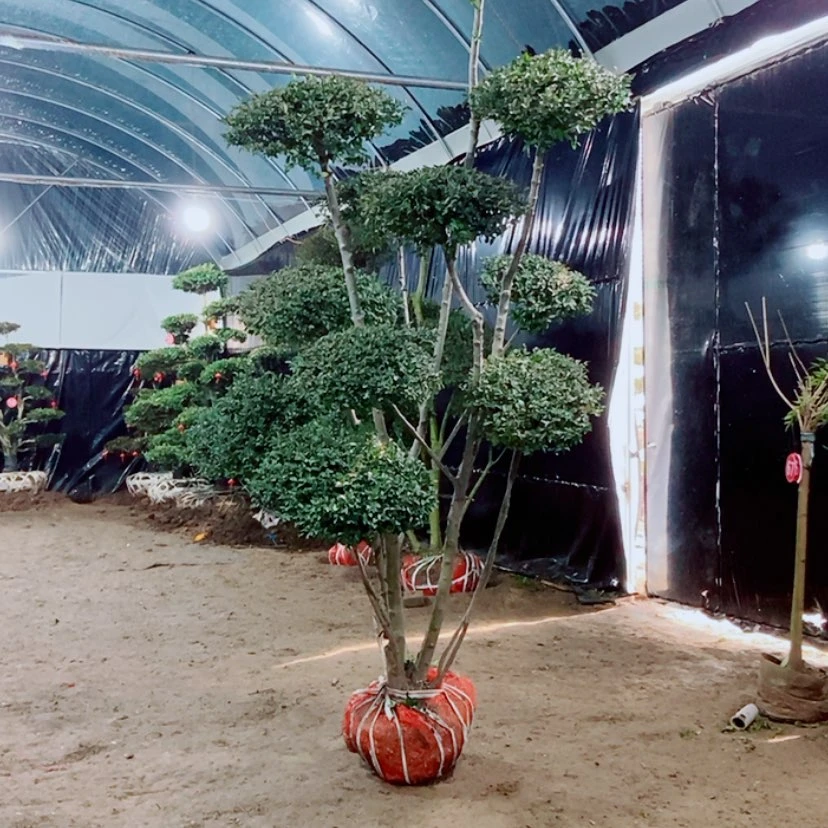 【闪购商品】一物一拍