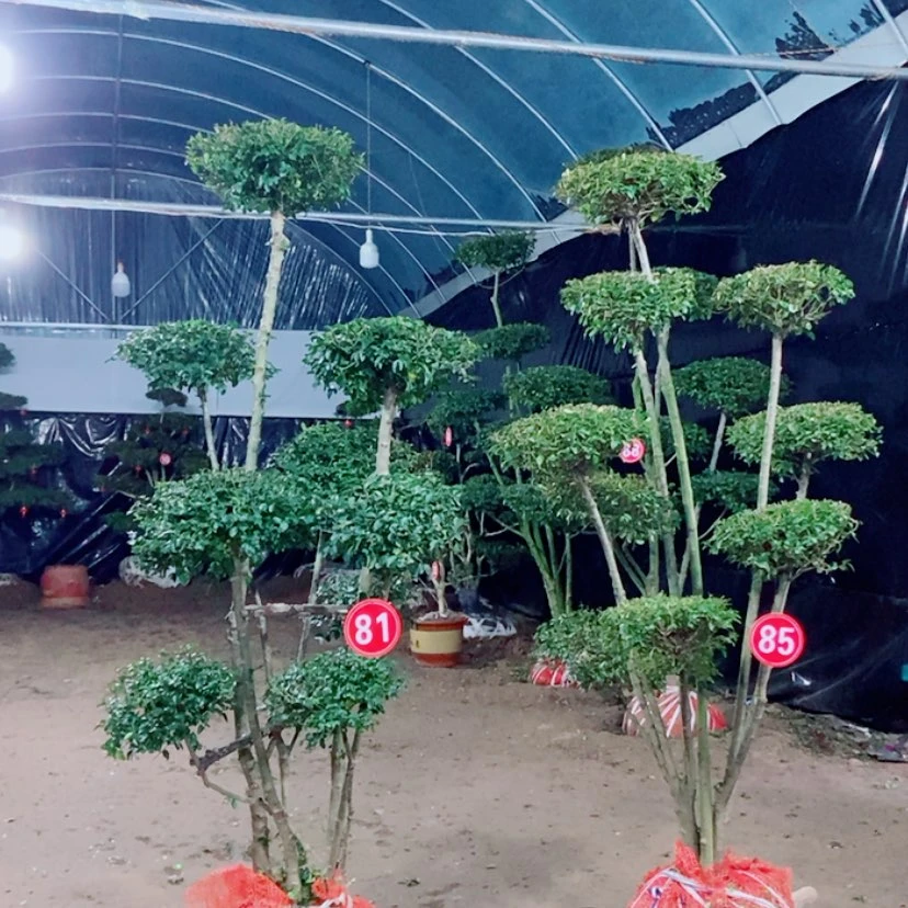 【闪购商品】一物一拍
