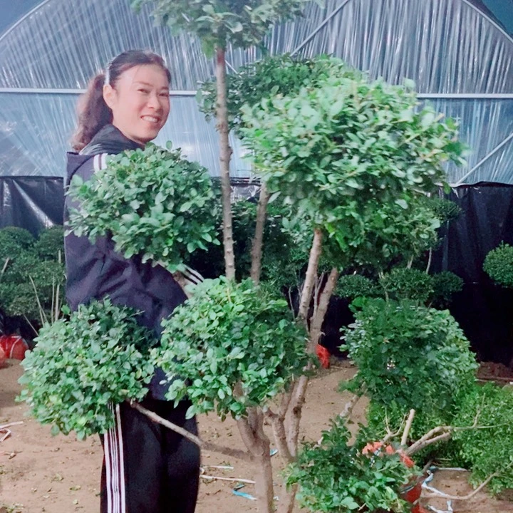 一物一拍一物一拍