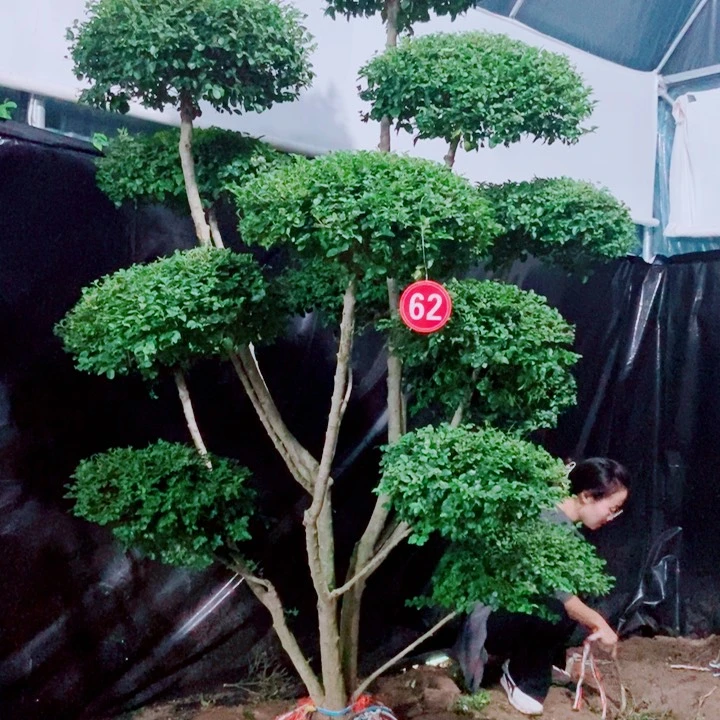 补差一个一个一个