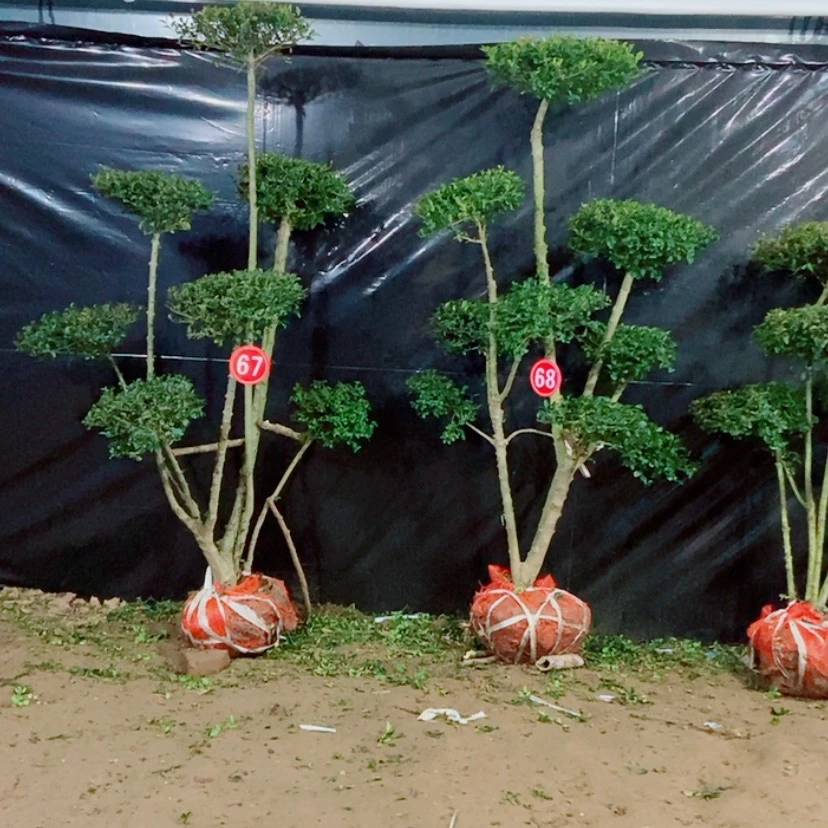 【闪购商品】一物一拍