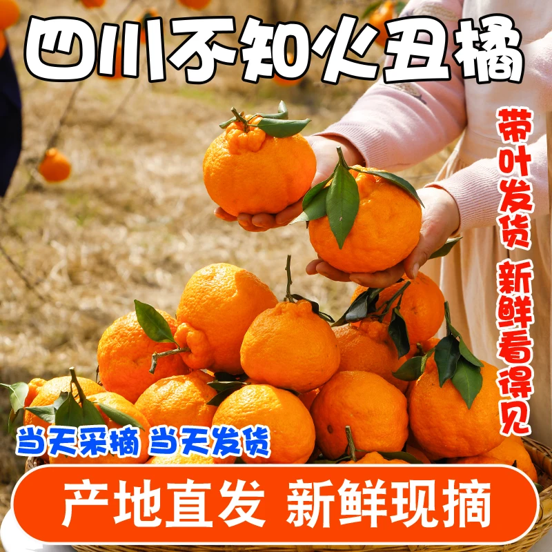 【产地直发】四川正宗不知火丑橘 新鲜采摘入口化渣脆甜爽口5/8斤装