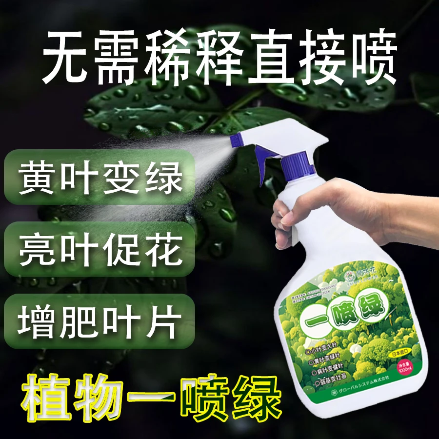 植物一绿黄叶病叶育苗营养液家庭花卉绿植绿植盆栽室内富贵竹通用
