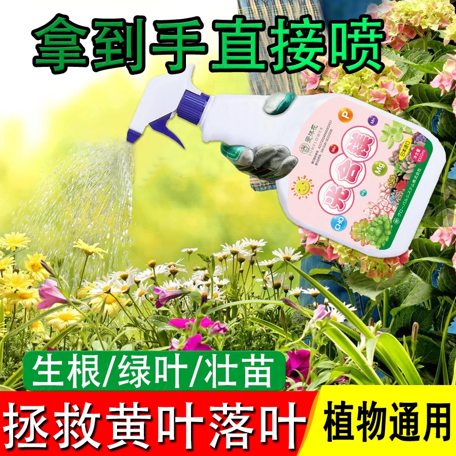 植物园艺花卉通用型营养液幸福树兰花天堂鸟专用养花肥料园艺用品