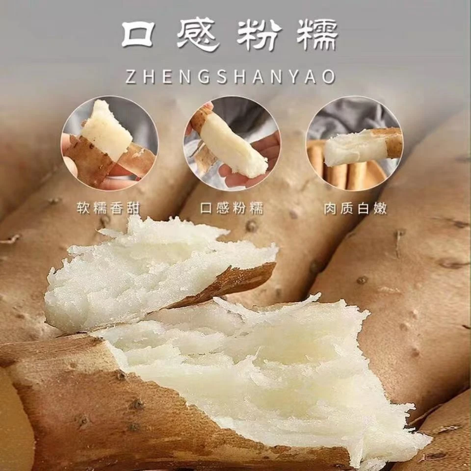 蠡县小白嘴山药40cm~50cm种植产地软糯干面3斤4.5斤农产品新鲜