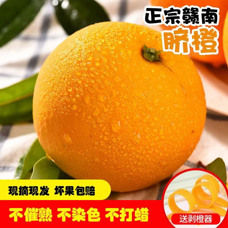 【小优专属】正宗赣南脐橙采摘阳光香甜浓郁一口爆汁多汁饱满充足