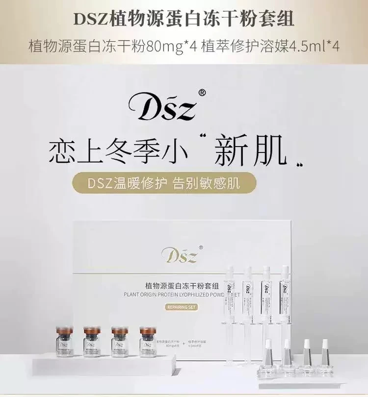 【大牌原单】DSZ冻 干粉礼盒装